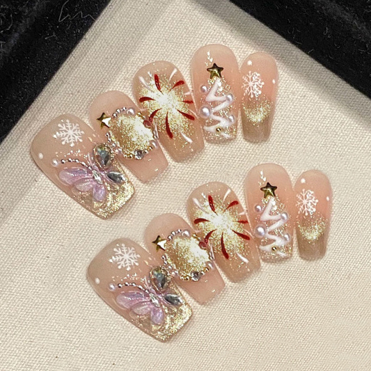 10pcs/Set False Nails Tips Fak - đánh giá và giá Decorating Tip Set